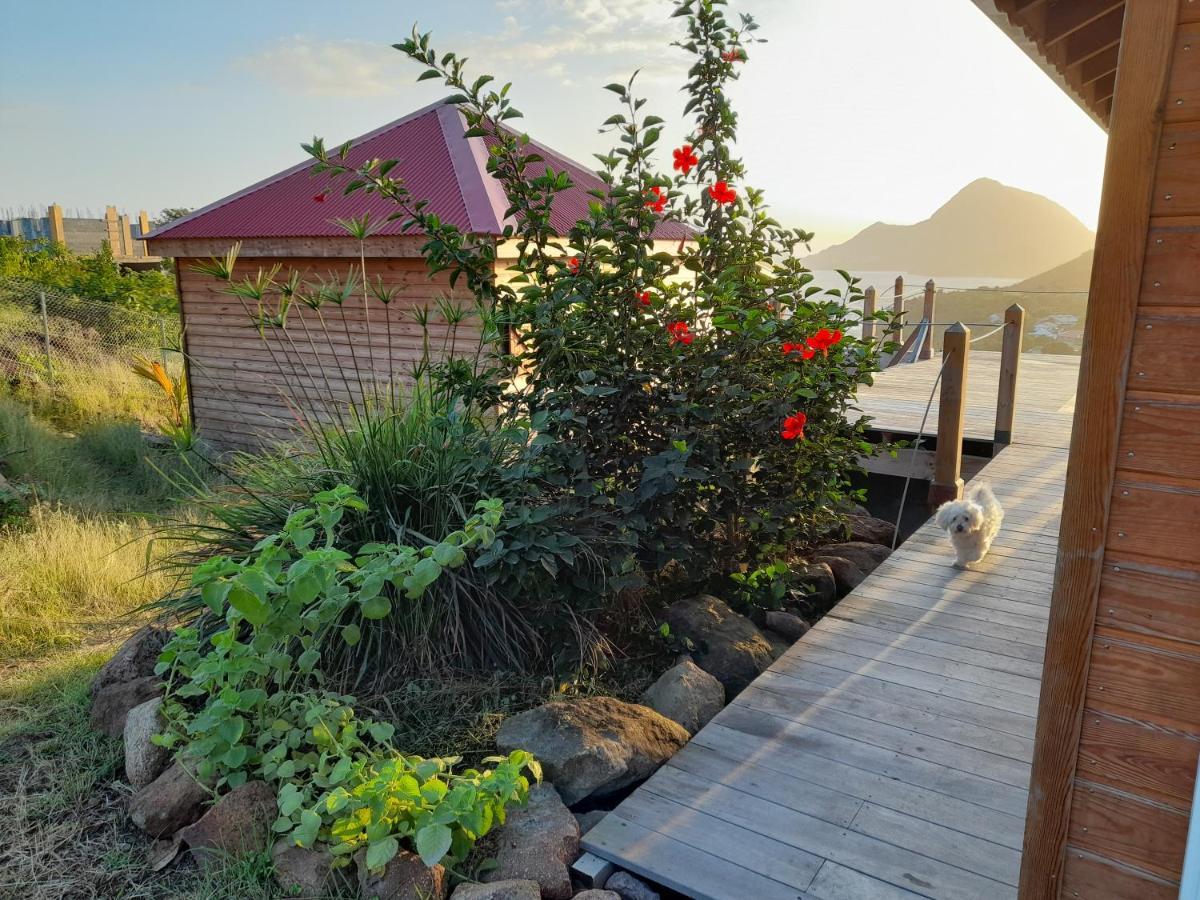 Ti Kaz Anoli Cottage En Bois Avec Vue Sur La Baie Terre-de-Bas Exterior photo